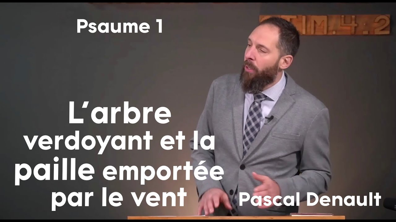 L'arbre verdoyant et la paille emportée par le vent - Psaume 1