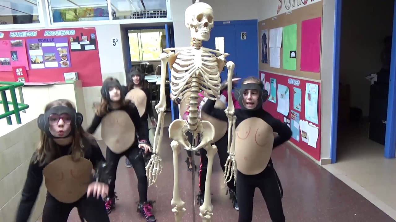 Lipdub animal