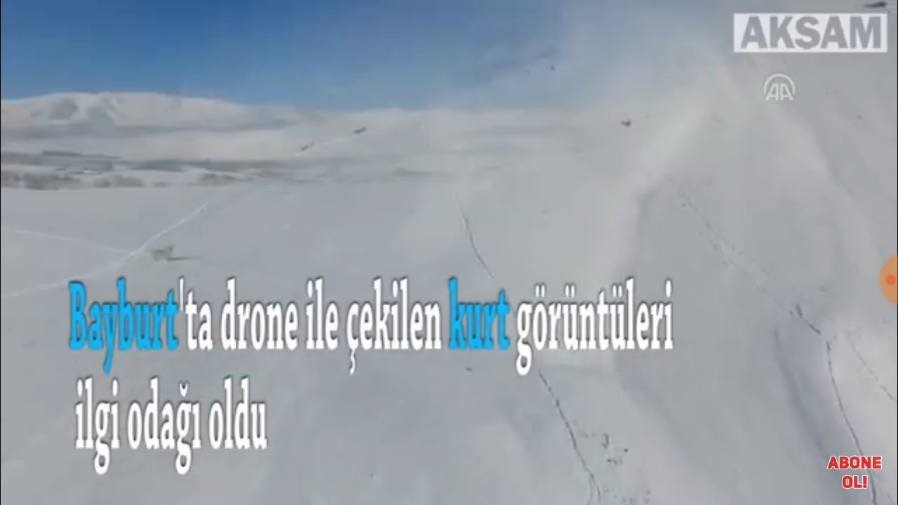 Dronla kurt takibi