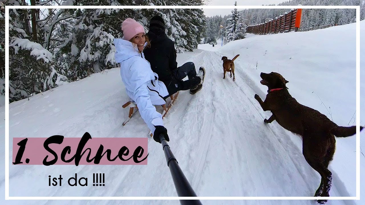 1. Schnee | Schlitten fahren Schnee Spaziergang backen | Foxred + Chocolate Labrador  KaroLovesMilka