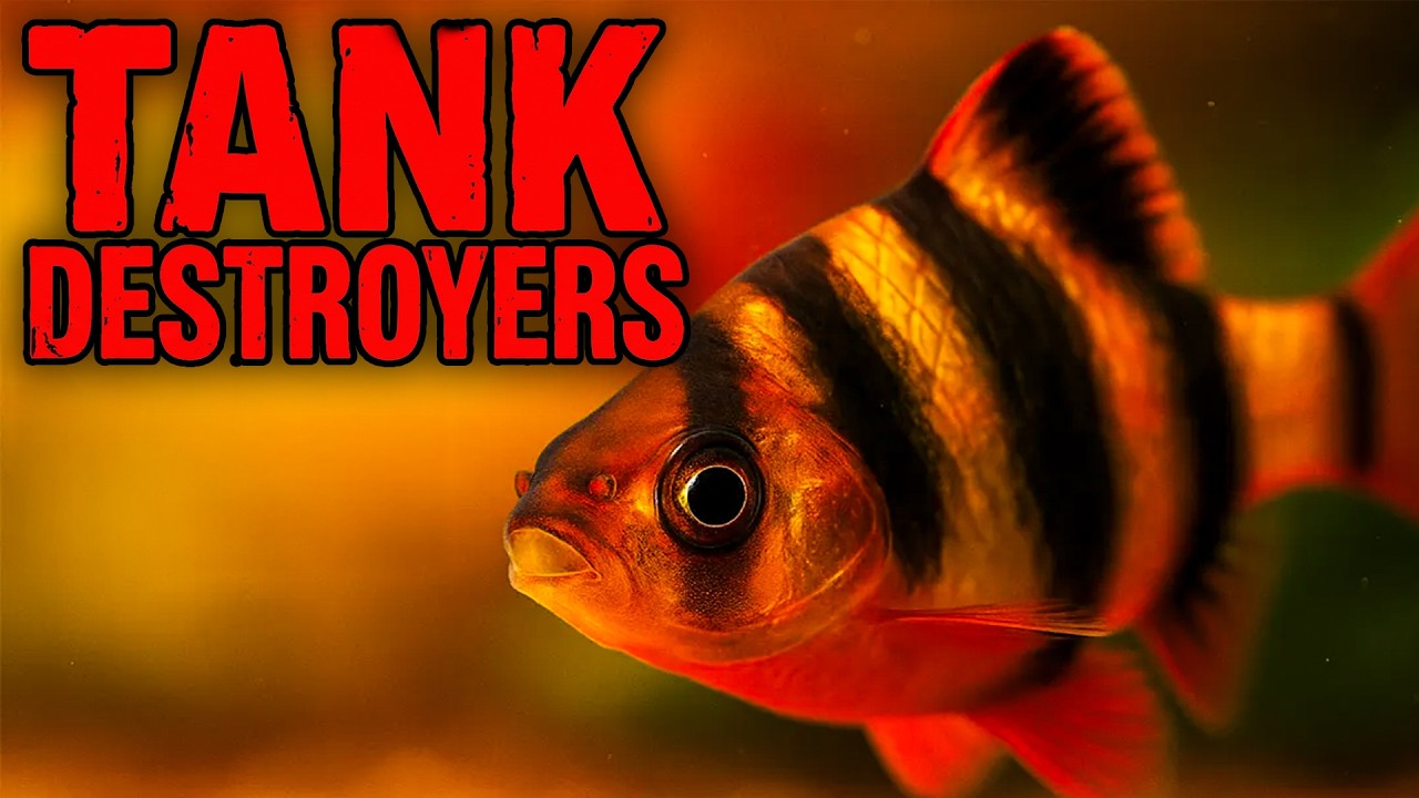 10 Tiny Fish You Should NEVER Buy (Guaranteed Regret)