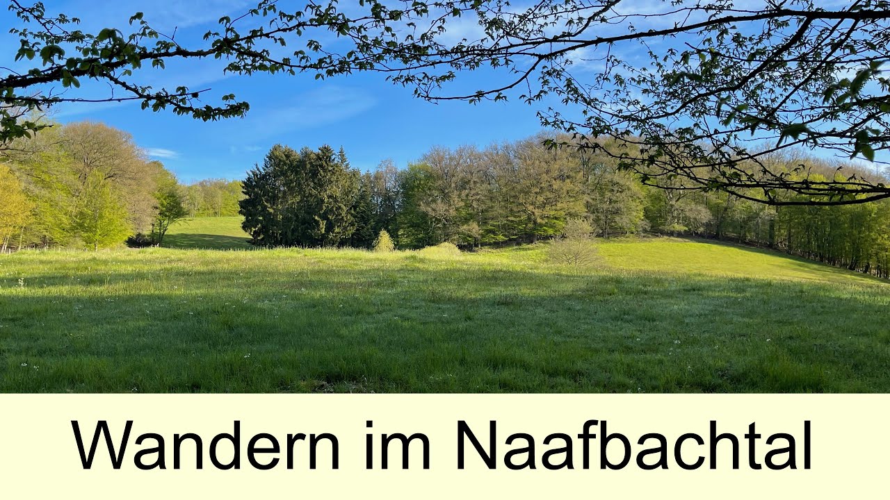 Wandern mit Hund - Mit Timmy im Naafbachtal