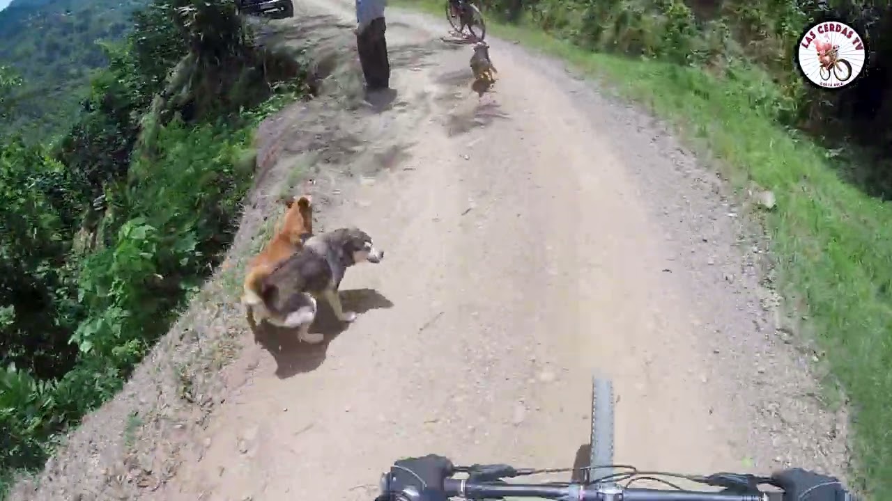 Tarbaca  - La Joya  - Jerico