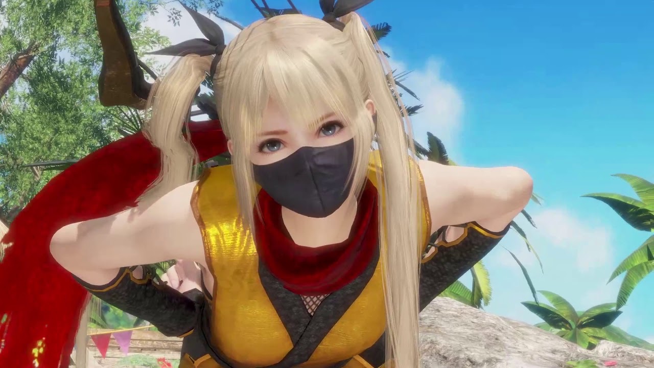 Dead or Alive 6 : All Female Fighter Ninja Set Costume