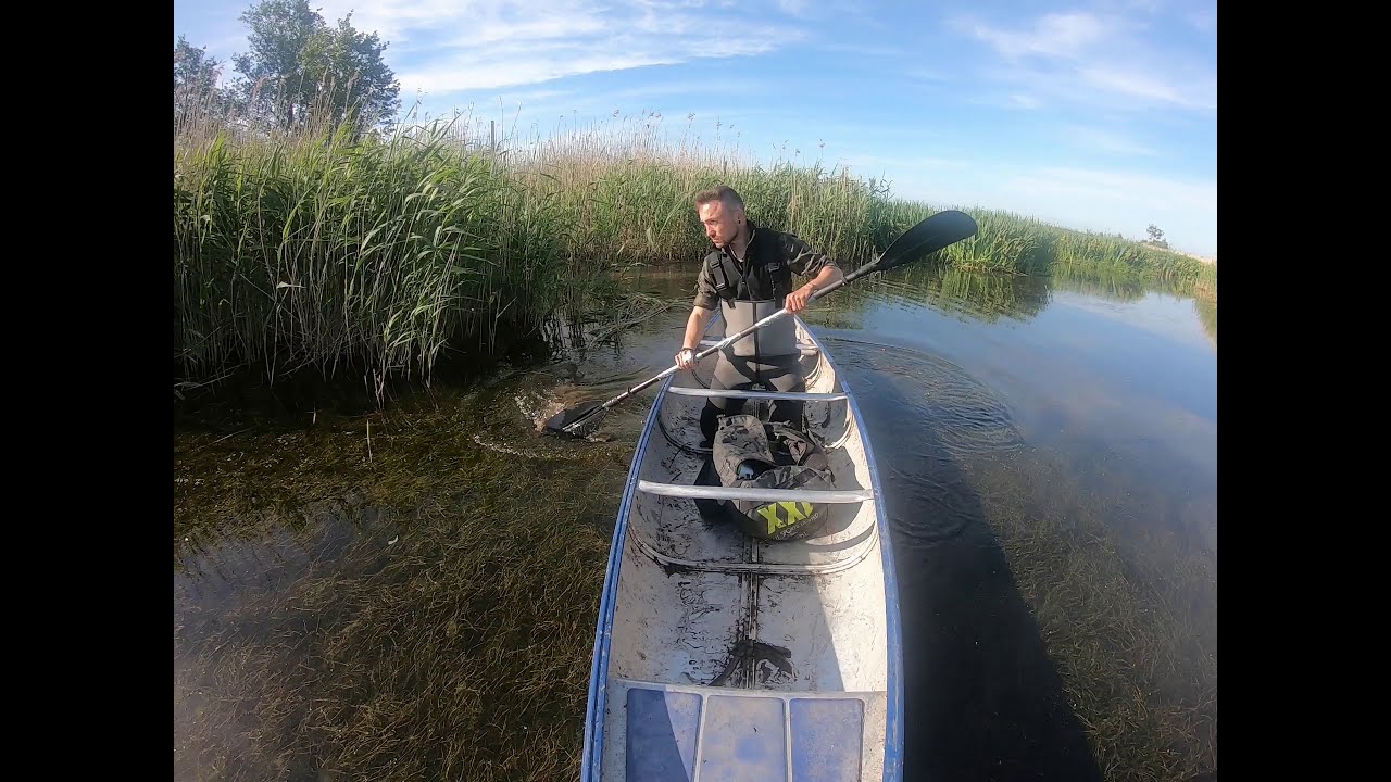 ACARU project - Kvismare Bird Observatory