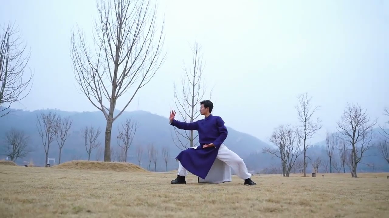 Relax Sink and Store Energy,Launch into a Somersault/松沉蓄势,凌空翻转 #wudang #wudangkungfu #kungfu #gongfu
