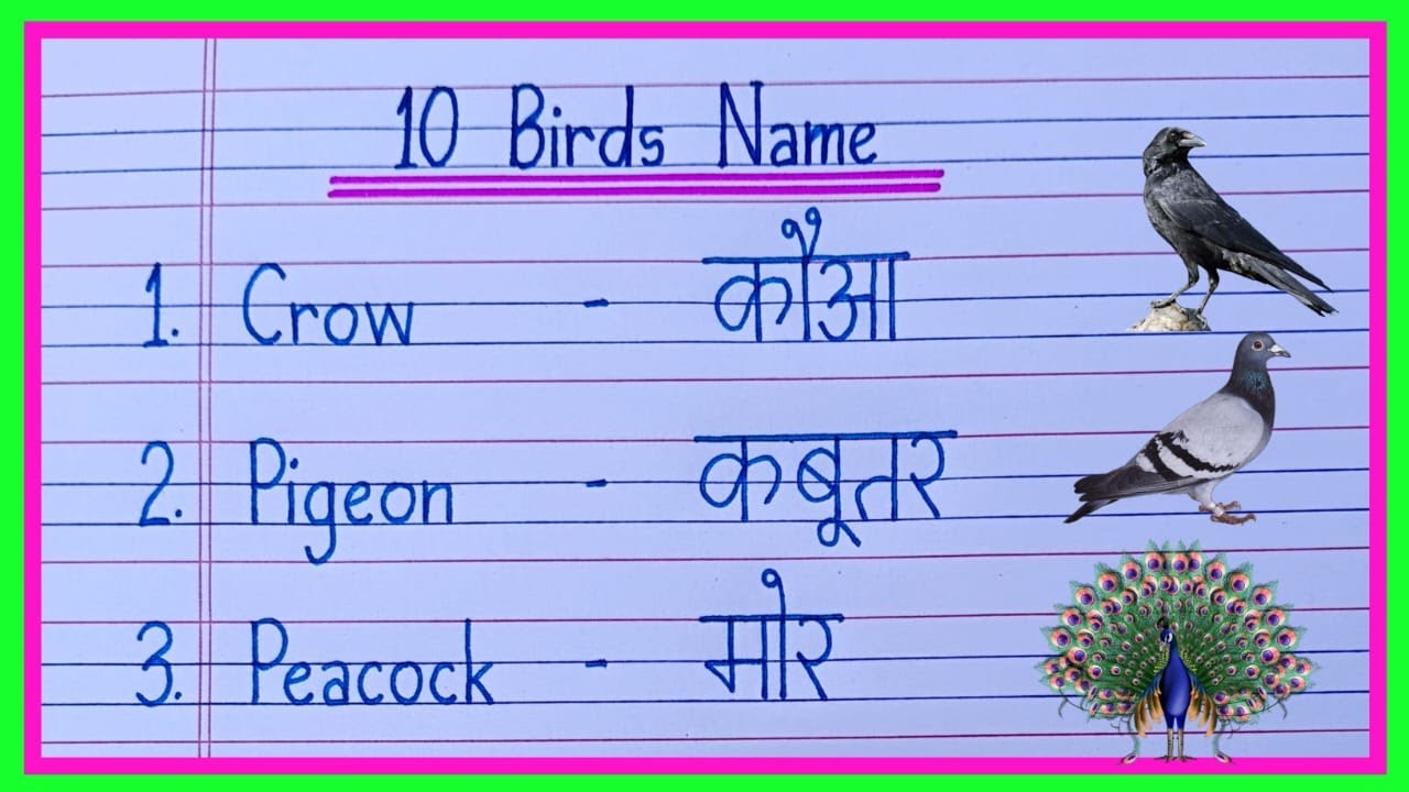 10 Birds Name in English and Hindi | Birds Name  | पक्षियों के नाम | Bird Name