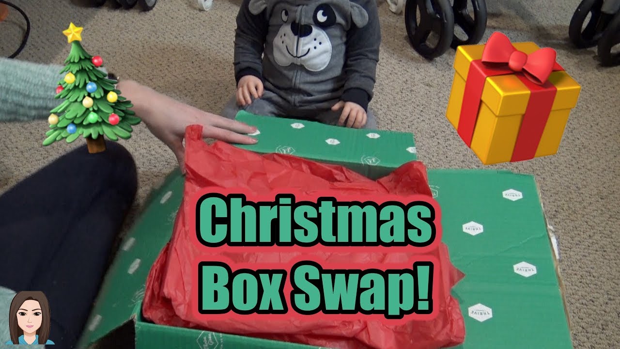 Christmas Reborn Swap Package Opening | Kelli Maple