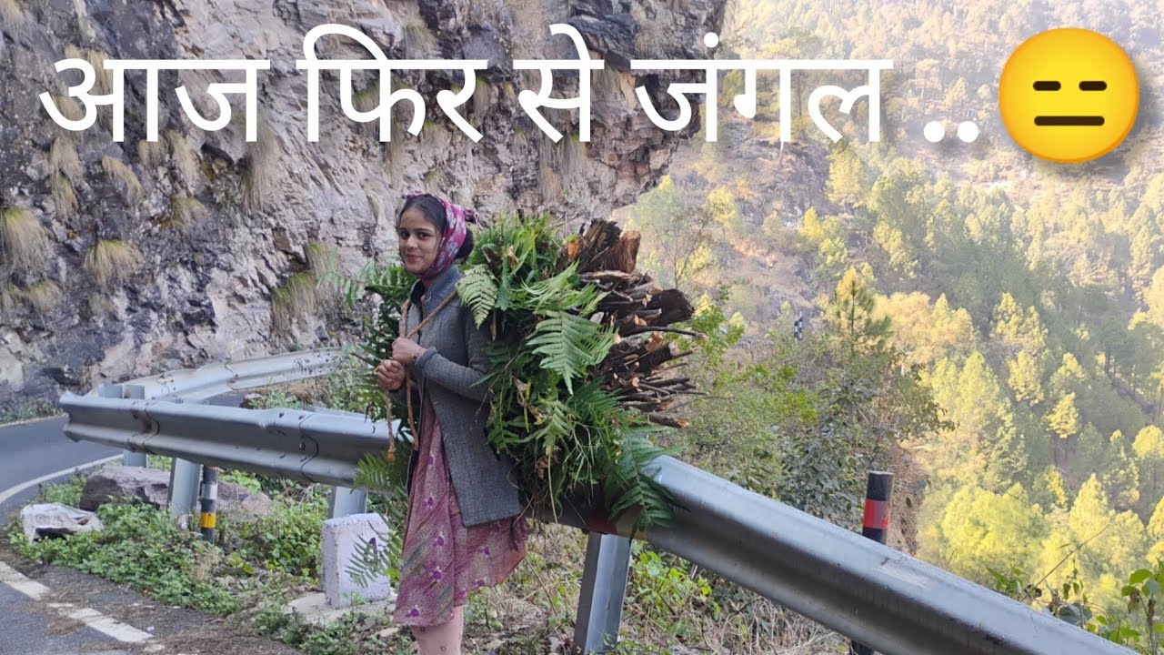 Ajj fhirse jangal..,😓😓