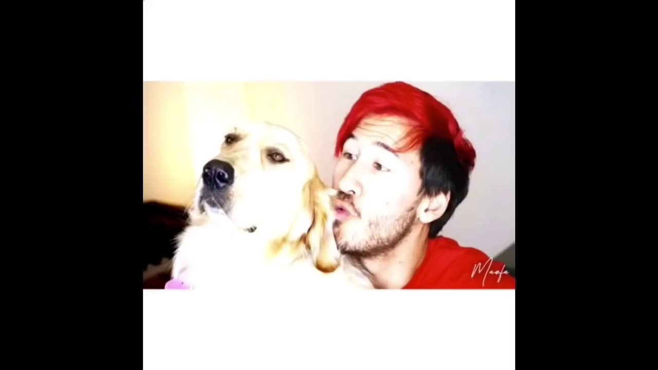 Markiplier and Jacksepticeye Vines #1