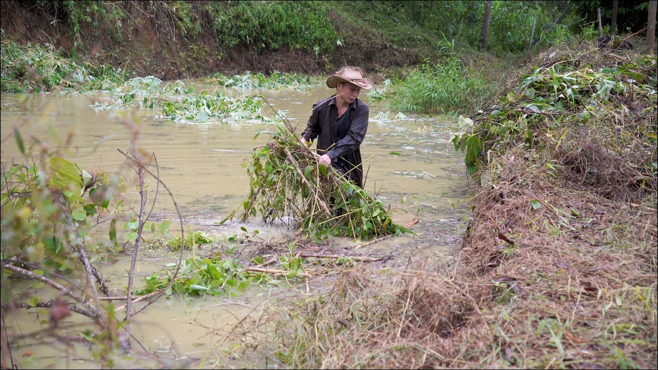 ⭐ I&rsquo;m Building a Floating Bamboo House on a Secret Pond&hellip;