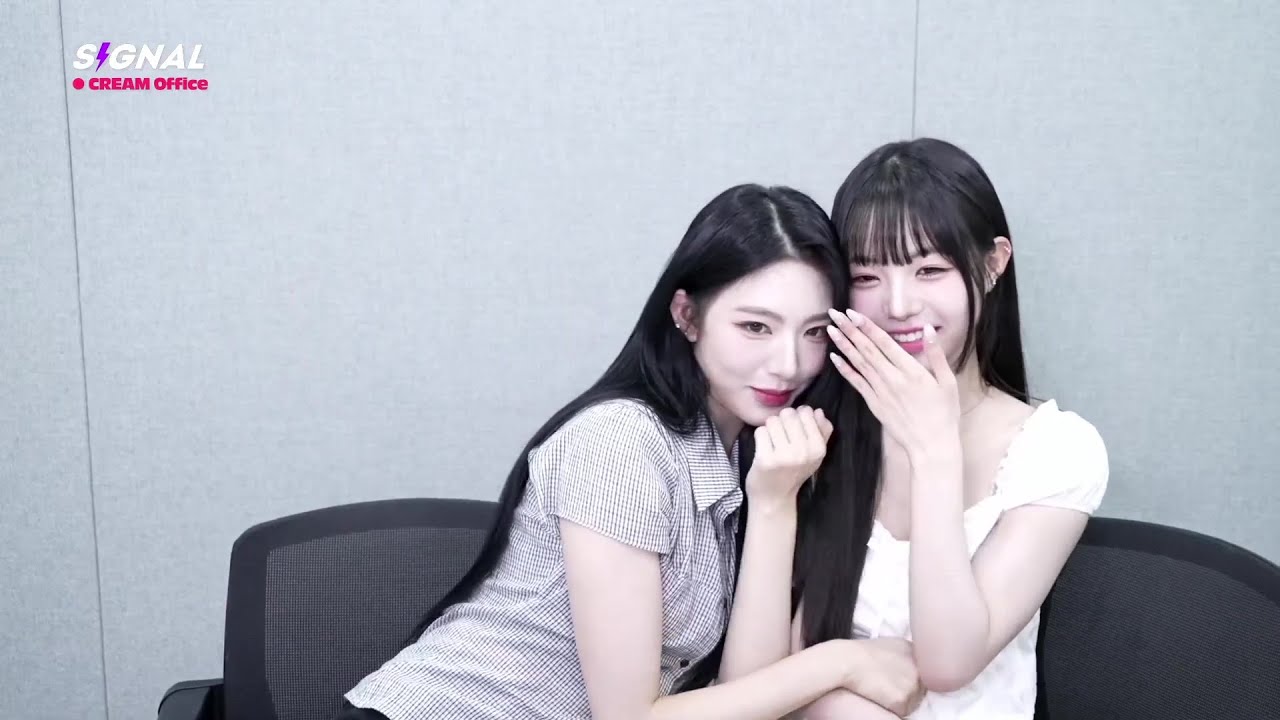 240724 신위 채원 라이브 하겠습니다 | tripleS SIGNAL LIVE