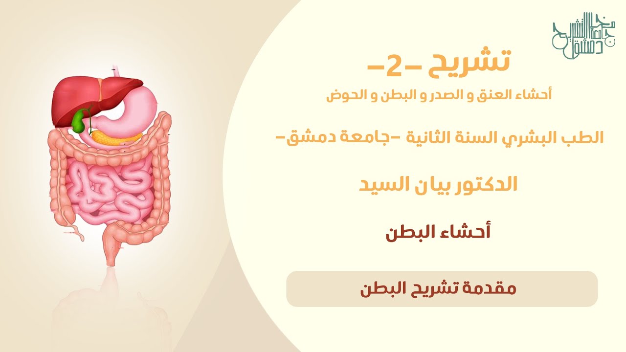 تشريح 2 | مقدمة تشريح البطن | د. بيان السيد