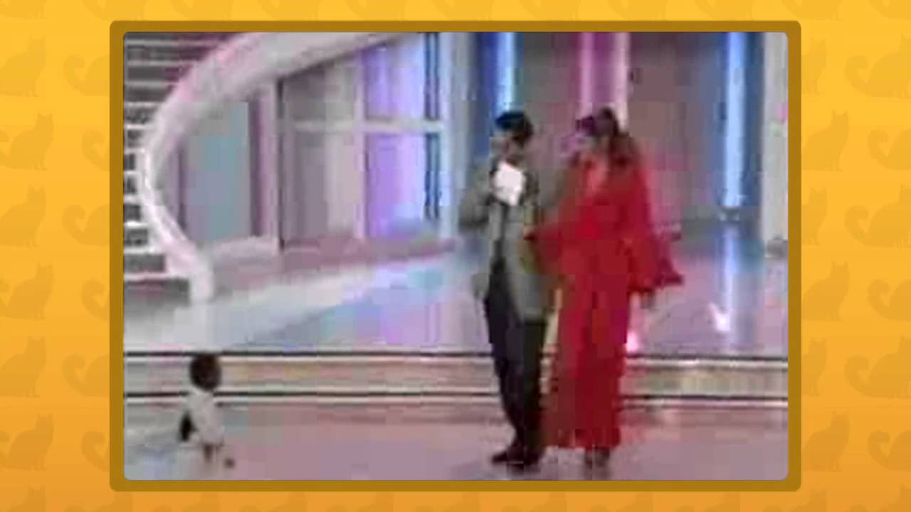 Videos de Gatos episodio 4