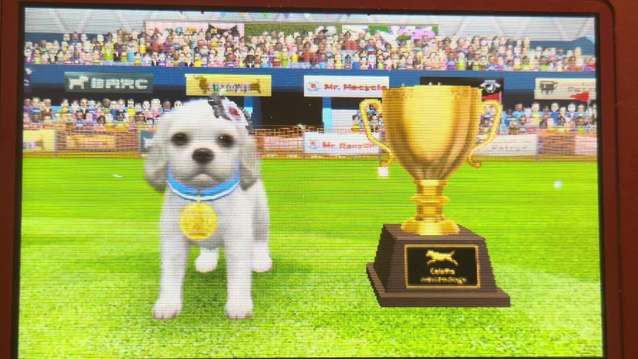 Nintendogs + Cats TPv#7: Madison in Lure Coursing Nintendogs Cup