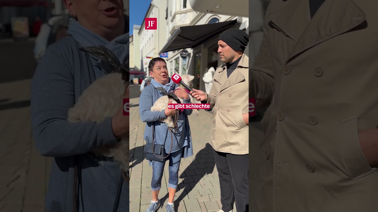 Wie erkl&auml;ren sich Passanten das Umfragehoch der AfD?