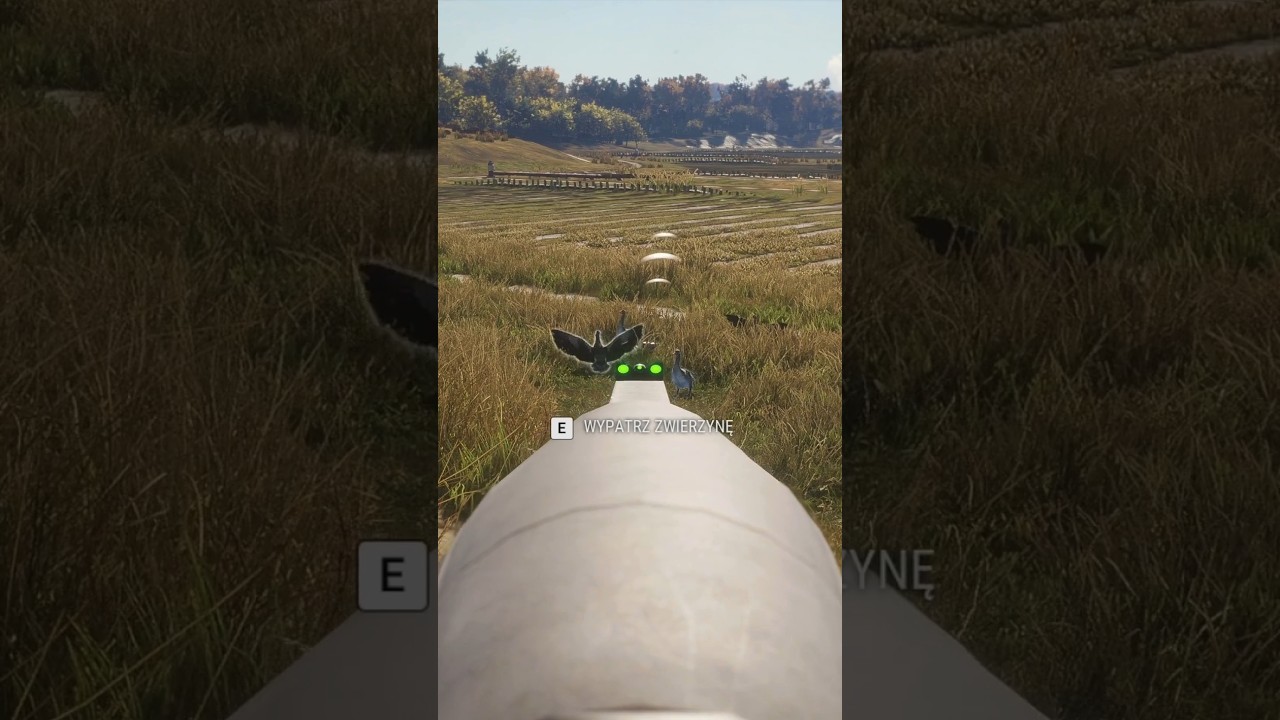 MASOWE POLOWANIE! 🏹🔥 Wabik i Grad Strzał&oacute;w! | The Hunter COTW
