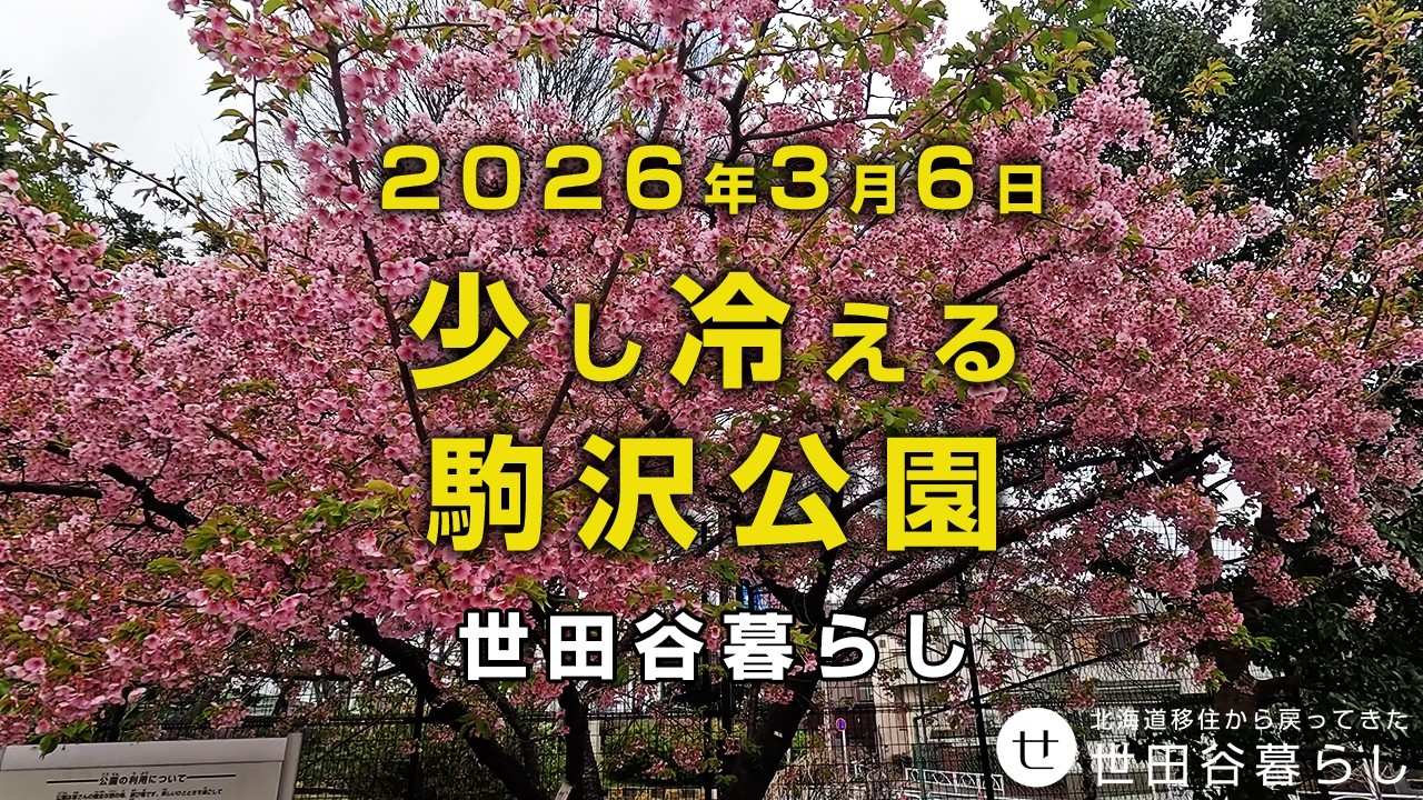 世田谷散歩｜今朝の東京は少し冷えます。