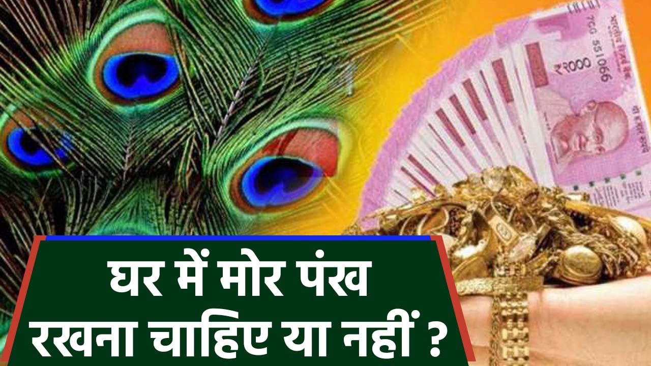 घर में मोर पंख रखना चाहिए या नहीं । घर में मोर पंख रखने के फायदे । Boldsky *Religious