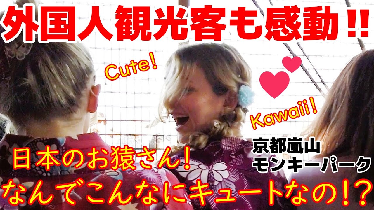 💕大好き‼日本のお猿さん‼ 外国人女性も夢中‼　外国人観光客も思わず感動‼　嵐山モンキーパークでお猿さんとの交流を楽しむ外国人観光客【京都】【嵐山】【海外の反応】