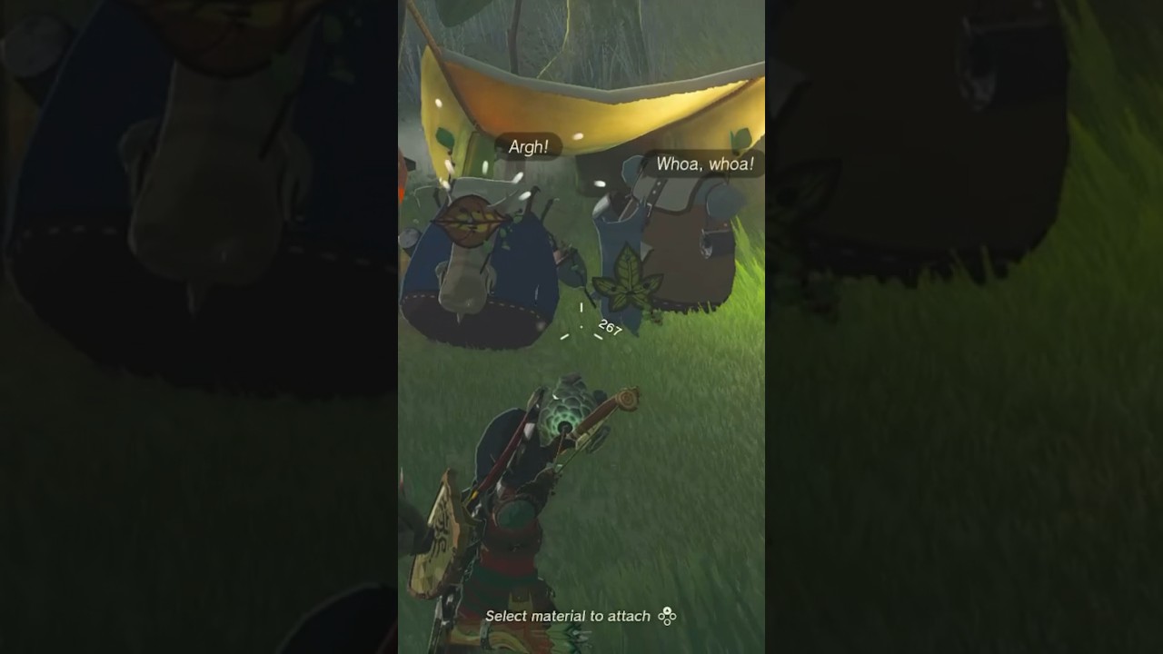 koroks VS giant brightbloom!! Tears of the Kingdom