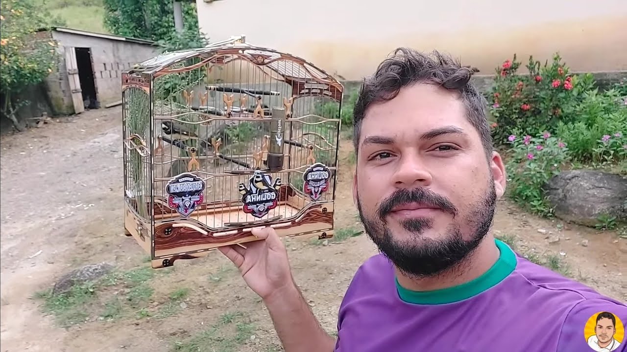 CAMPEADA DE PAPA CAPIM E COLEIROS EM PEMA CABO DE SANTO AGOSTINHO
