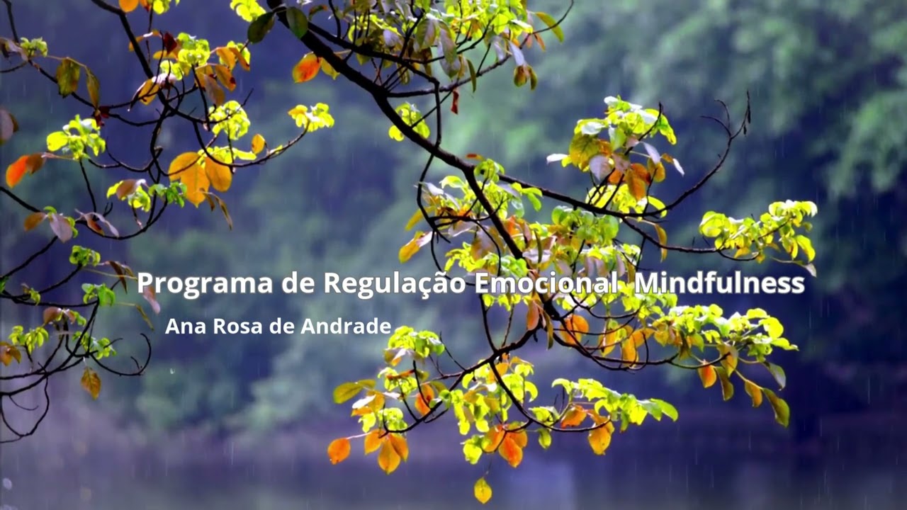 PROGRAMA DE REGULAÇÃO EMOCIONAL - MINDFULNESS (1) - ATENÇÃO PLENA