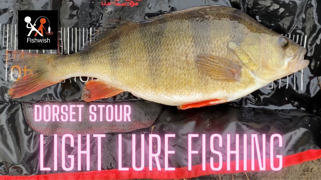 Lure Fishing on the Dorset Stour