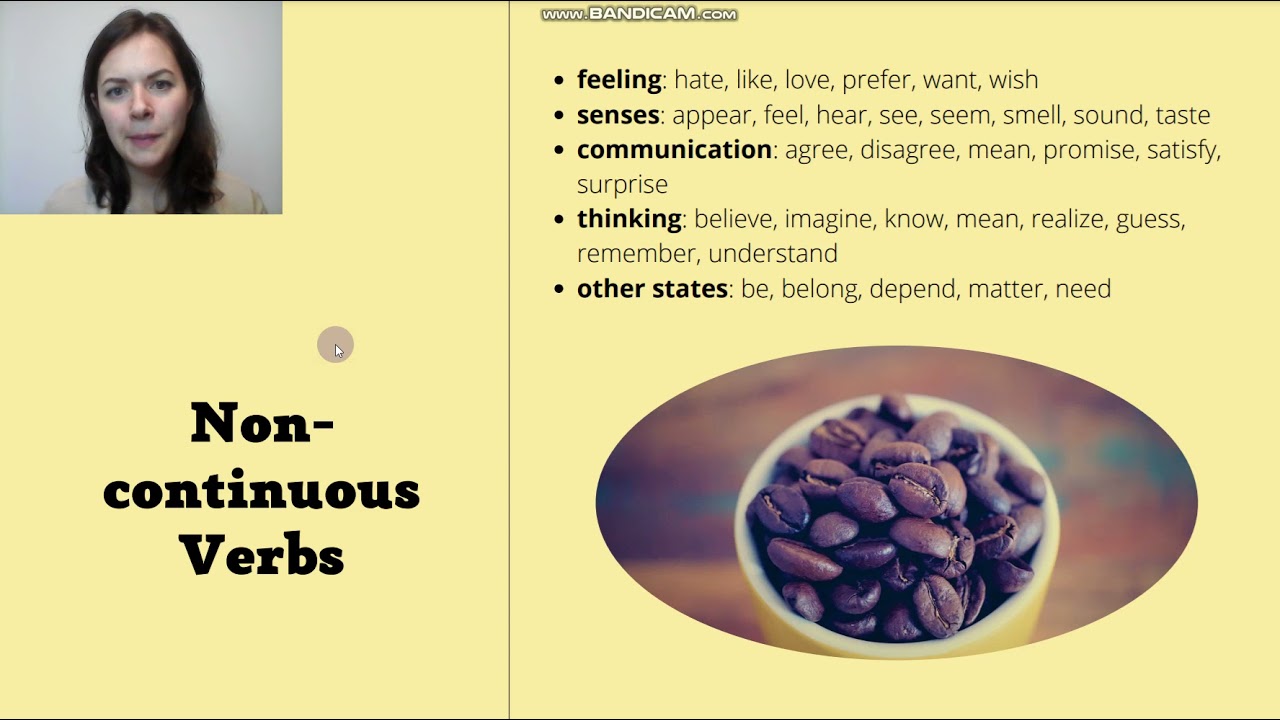 Non-continuous verbs