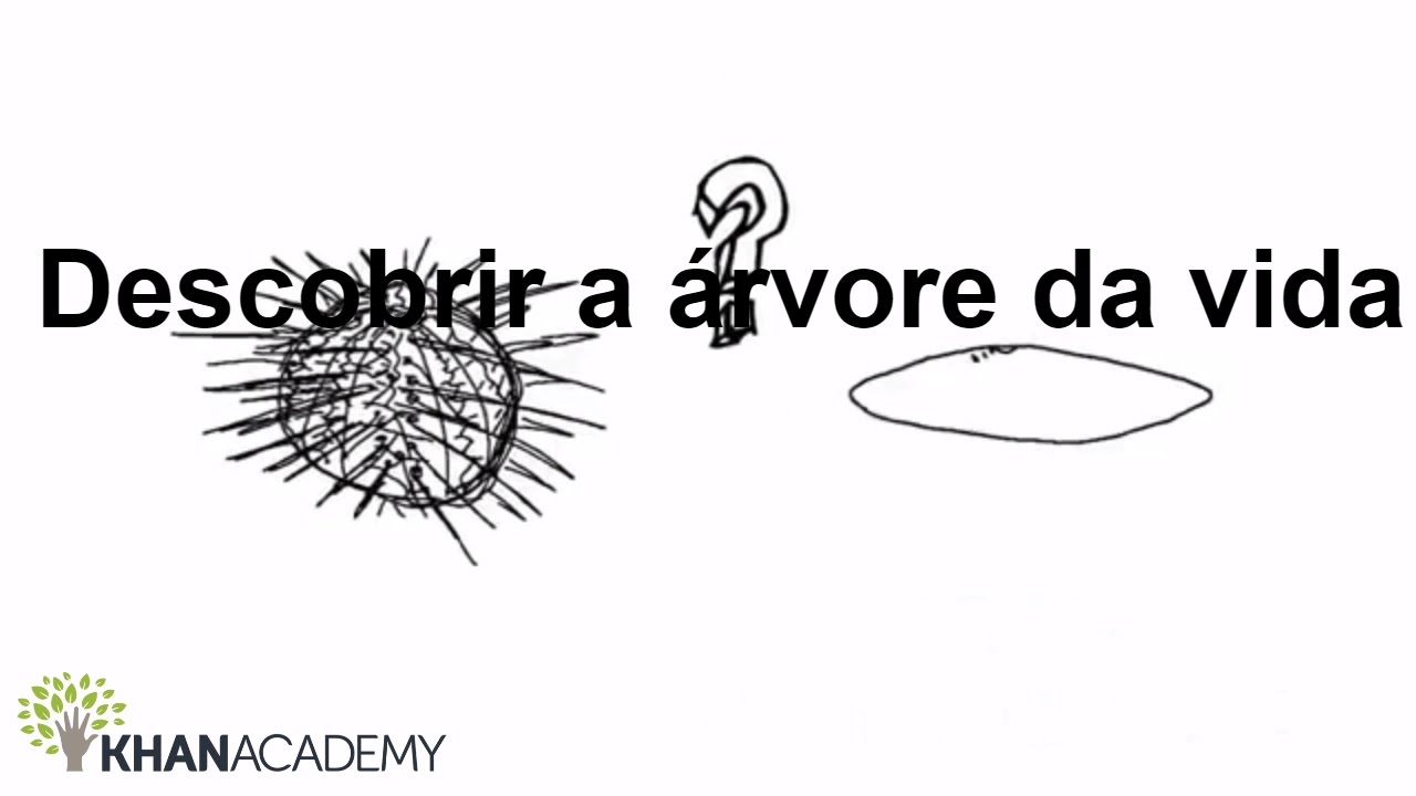 Descobrir a árvore da vida | Biodiversidade e  conservação | Biologia | Khan Academy