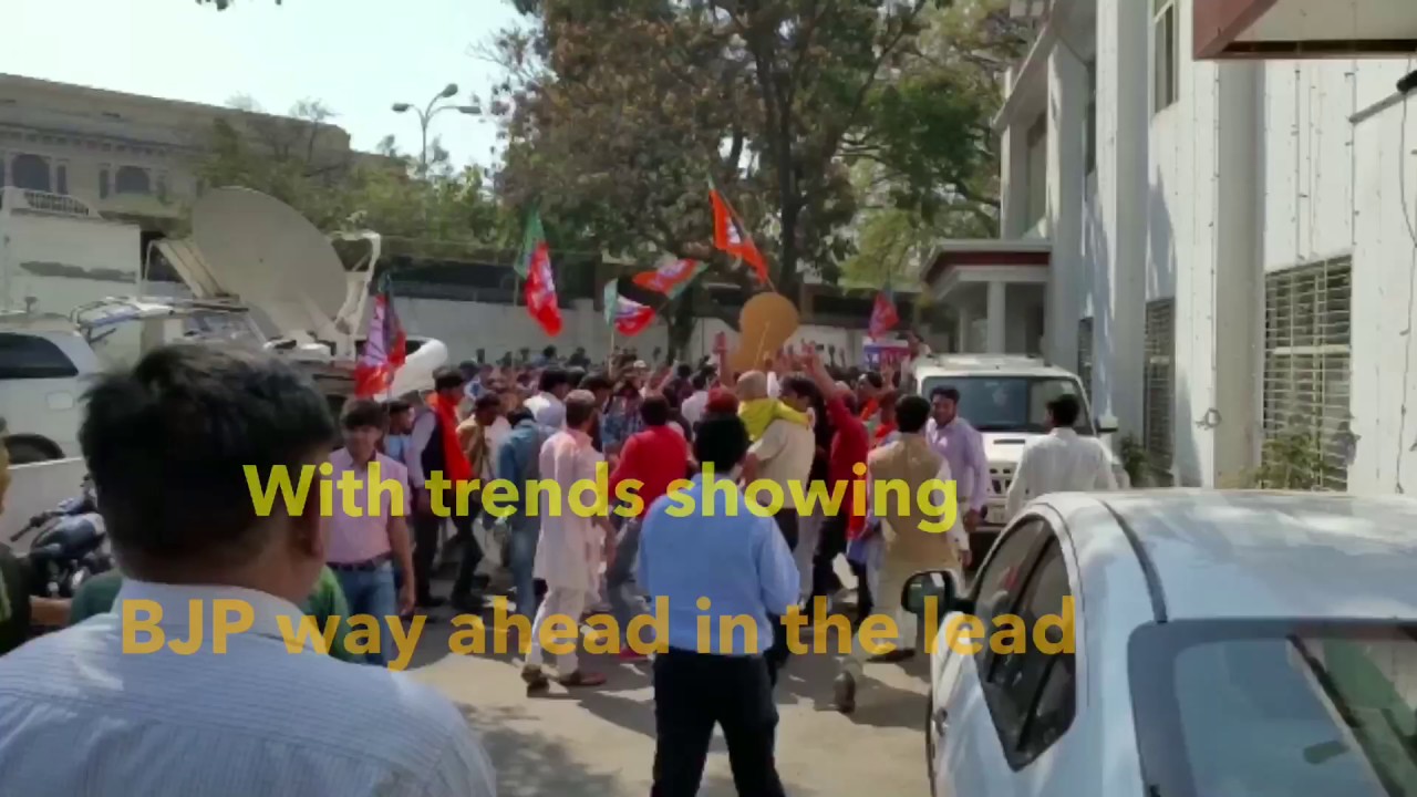 'Saffron Holi' in BJP party office