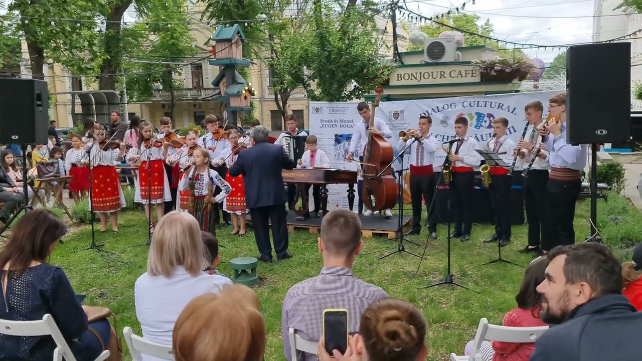Orchestra Stejărel - Moldovă, Moldovioara mea (Voce: Botnariuc Niculina)
