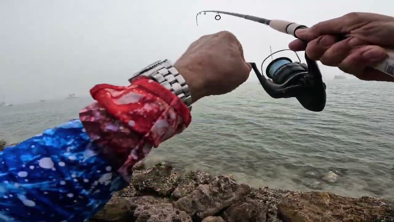 Otro día de pescas