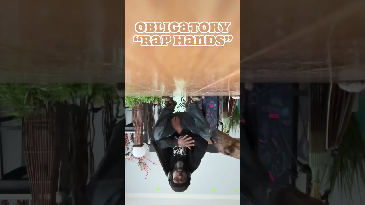 Lip sync fail + reference track
