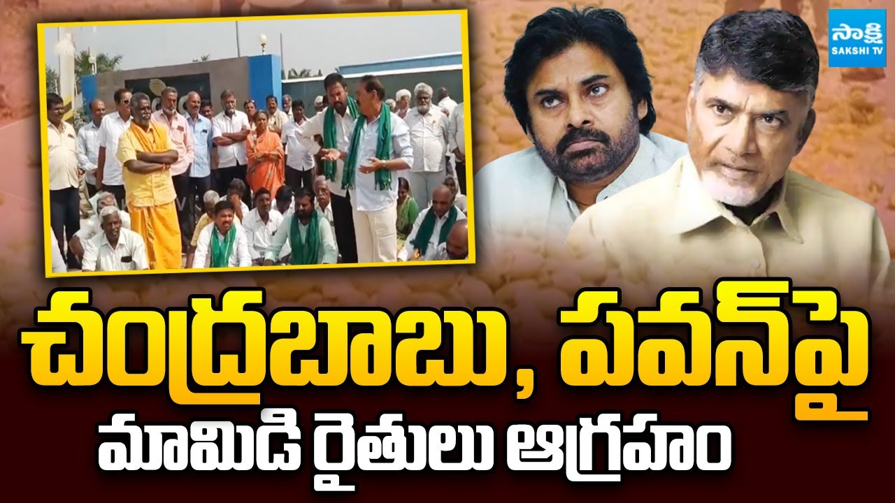 మళ్లీ పూత కూడా వచ్చే ..! | Chandrababu Govt Chit Mango Farmers | Mango Juice Factory Scam@SakshiTV