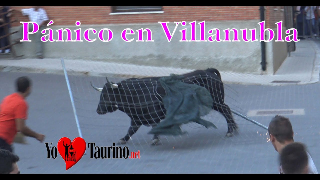 Un Toro se lleva la valla en Villanubla y siembra el pánico