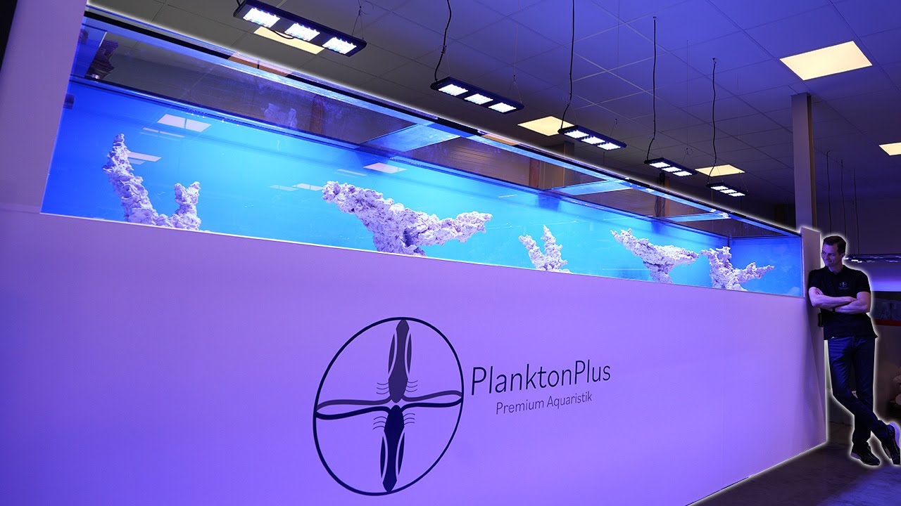 5 METER MEERWASSERAQUARIUM - 2500 Liter Showtank PlanktonPlus Aquaristik