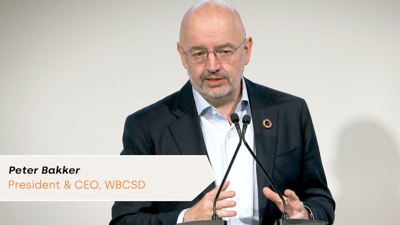 WBCSD 30 Years   - Turning sustainability into your strongest business advantage
