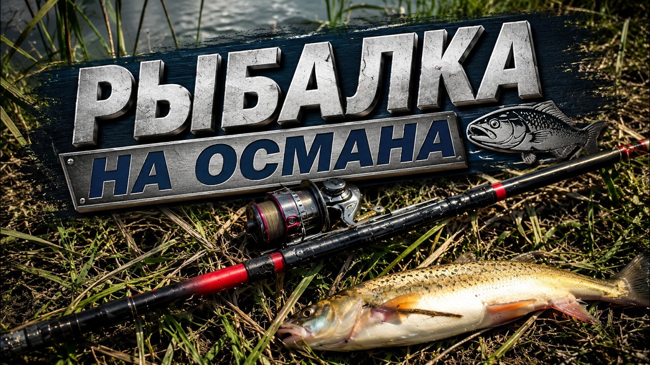 Осман - Идеальная Рыбалка #ловляосмана #2023 #2024 #осман #fishing #top #1k #рыбалка