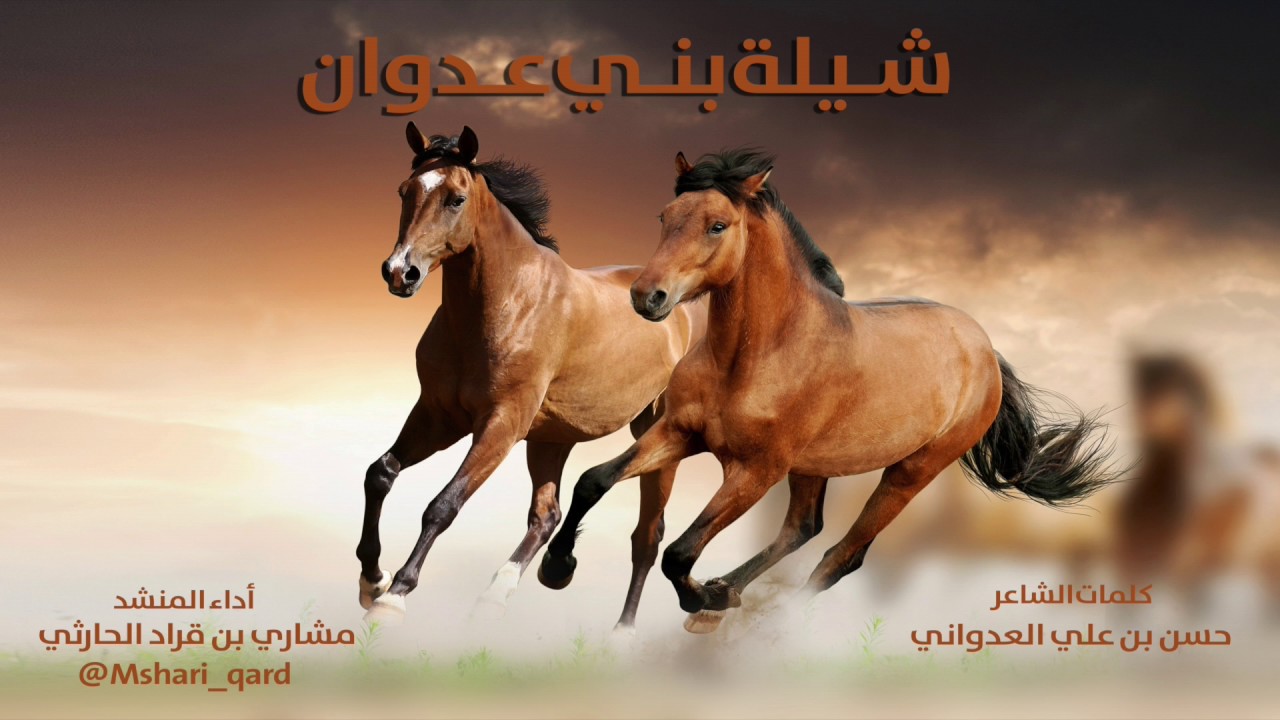 شيلة بني عدوان /من كلمات الشاعر حسن بن علي العدواني@ اداء المنشد مشاري بن قراد الحارثي
