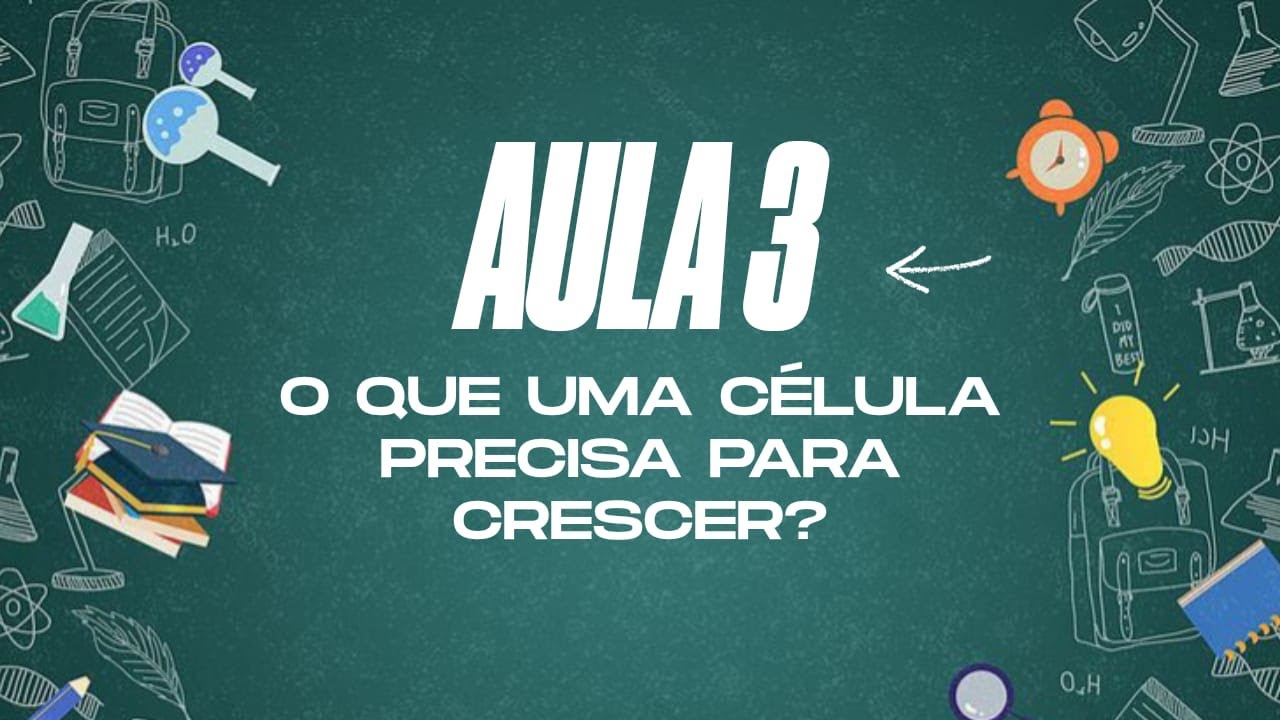 3ª AULA - O que uma célula precisa para crescer?