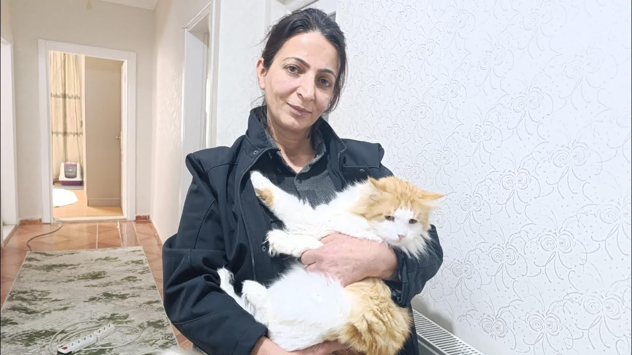 Ağrı Doğubayazıt’ta Kedilere Umut Olan Kadın