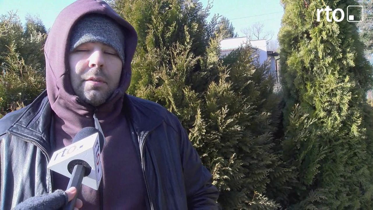 za zbyt wysokie tuje mozna stracic działke