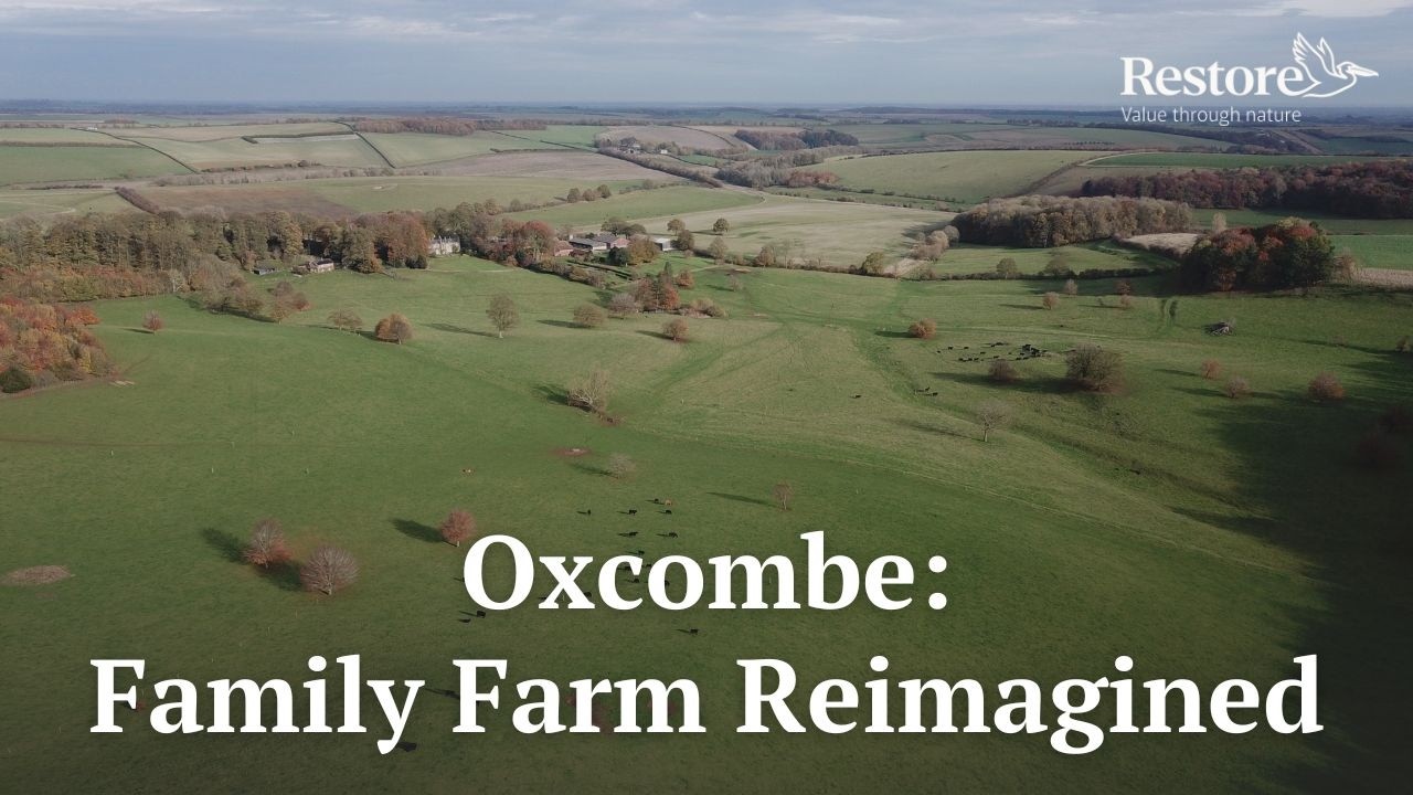 Oxcombe: A Working Farm Reimagined for Nature and Community