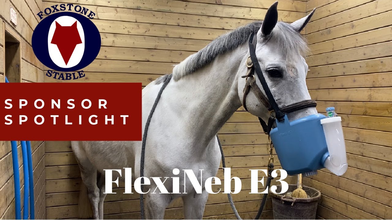 Flexineb E3 unboxing video | Horse respiratory therapy | Sponsor example video