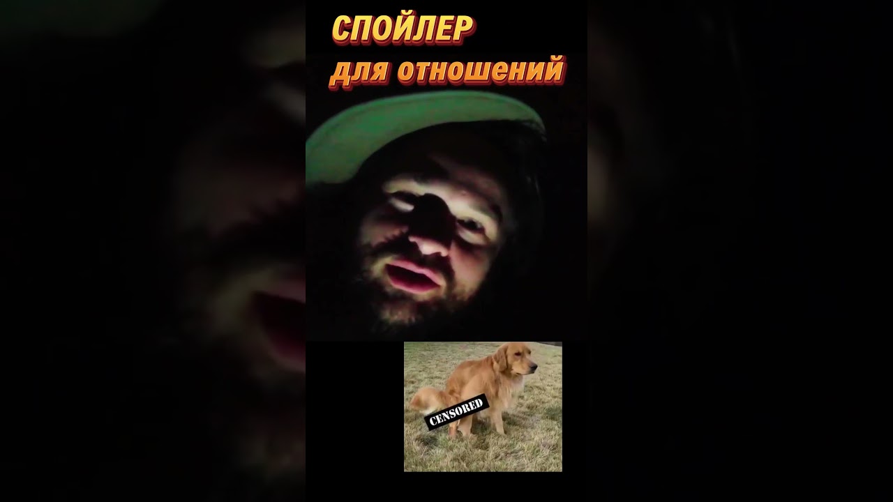 куча  овна 