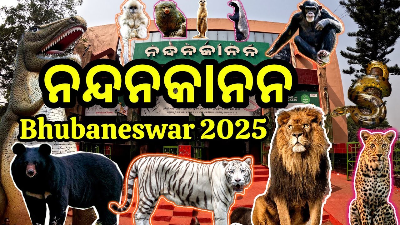 Nandankanan Bhubaneswar / Nandankanan Zoological Park / 2nd Largest Zoo of India / Odisha