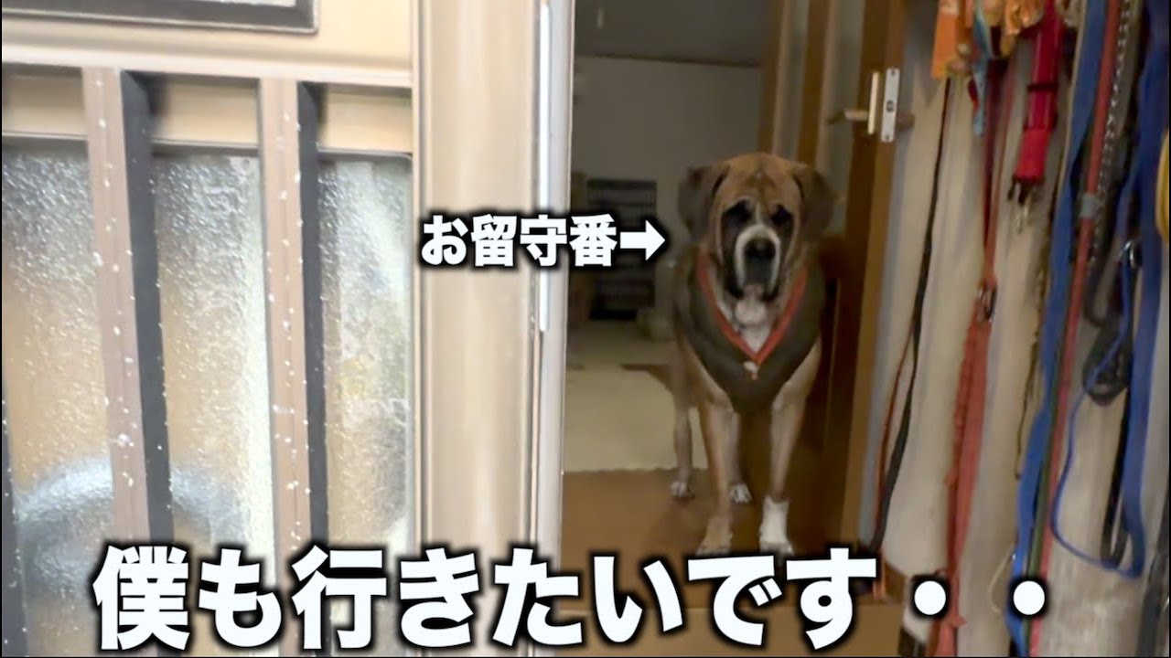 父ちゃん！どこ行ったん？