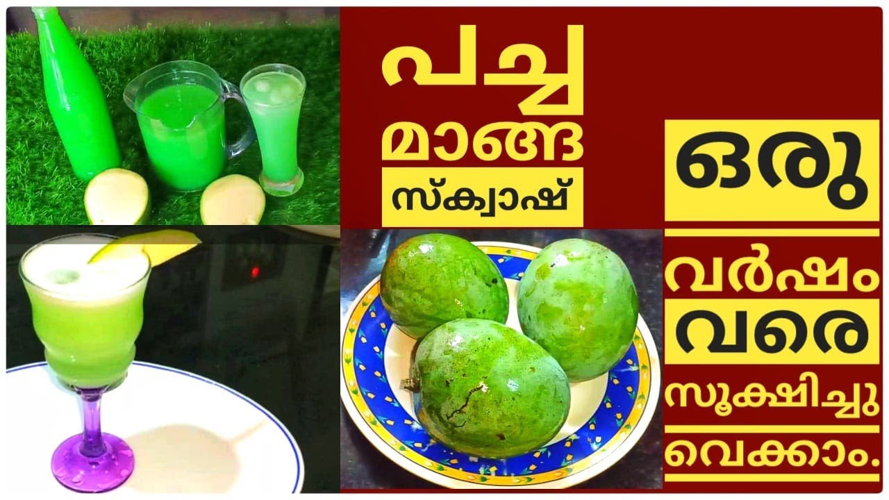 പച്ച മാങ്ങ കൊണ്ട് സ്ക്വാഷ് ഉണ്ടാക്കി സൂക്ഷിച്ചു വെക്കാം/Raw Mango Squash/Saji'sHomecafe/