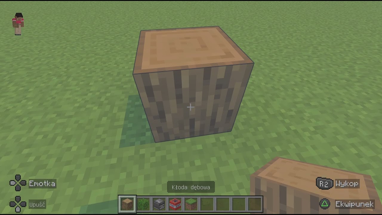 Zdenerwowanie kolegi - Minecraft